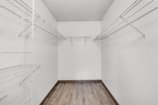 spacious closet with wood-type flooring