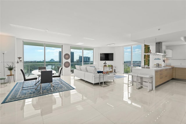 tiled living room with a wealth of natural light and sink