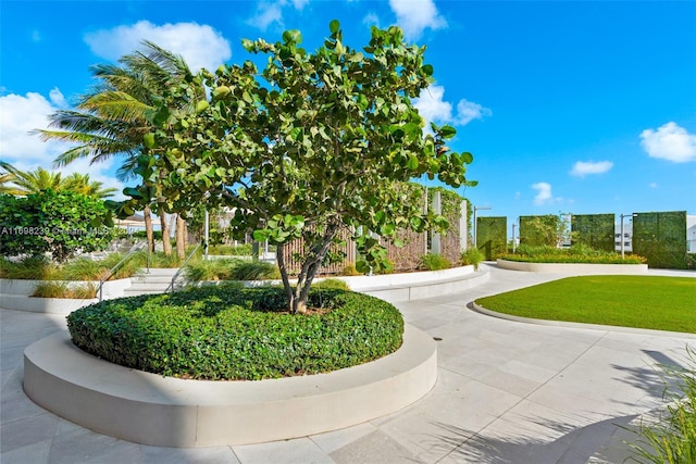 view of home's community with a lawn