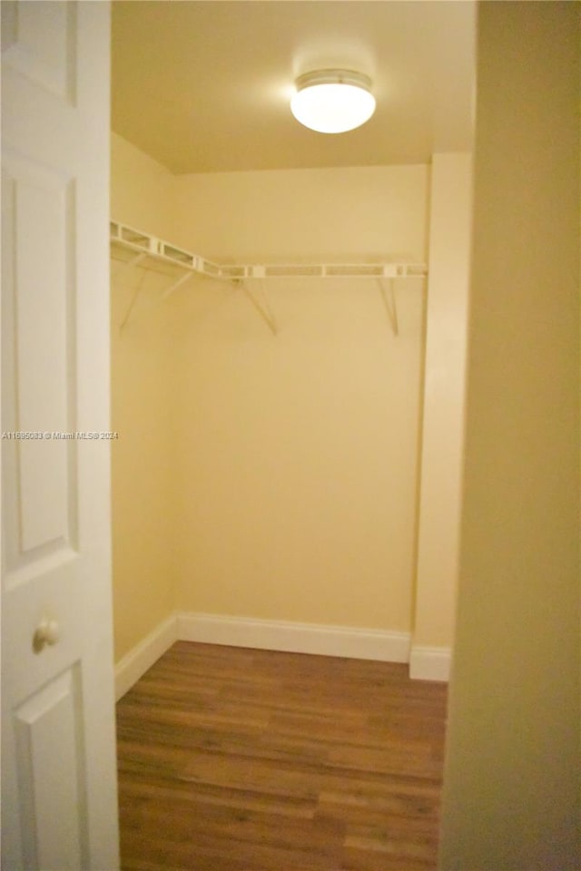 walk in closet with hardwood / wood-style floors