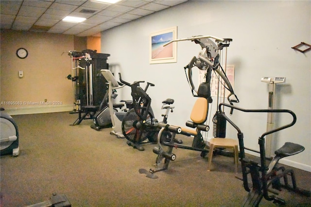 gym featuring a paneled ceiling and carpet floors