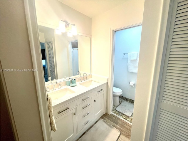 bathroom featuring vanity, wood-type flooring, and toilet