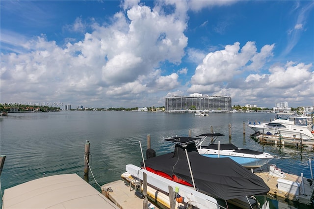 dock area featuring a water view