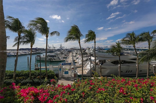 property view of water with a boat dock