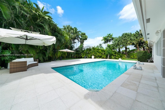 view of swimming pool featuring a patio