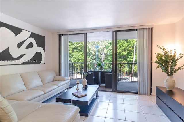 tiled living room with a wealth of natural light