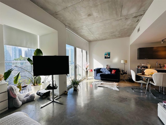 living room featuring concrete flooring and sink