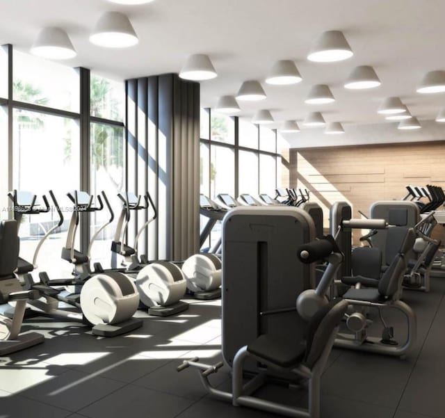 workout area featuring plenty of natural light and expansive windows