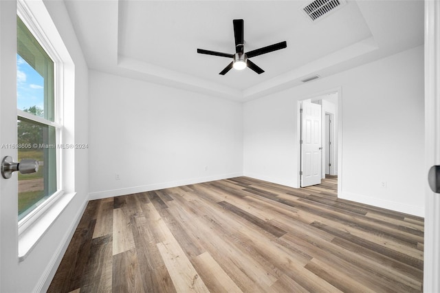 unfurnished room with a raised ceiling, plenty of natural light, and wood-type flooring