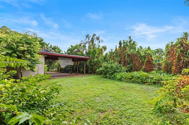 view of yard featuring a patio area