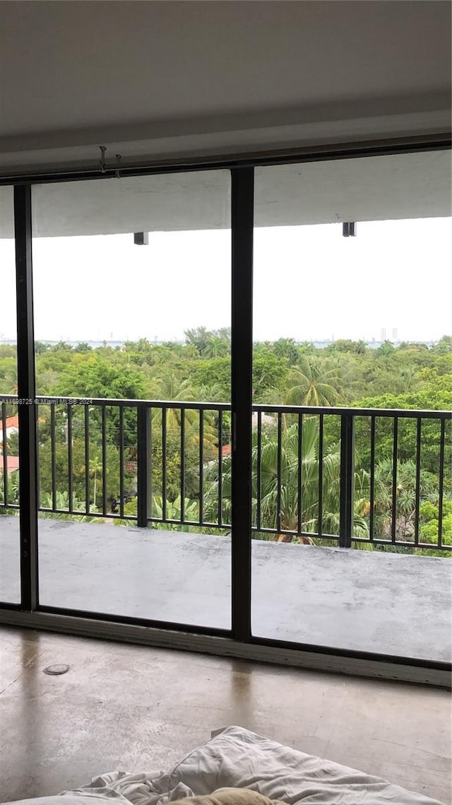 doorway featuring plenty of natural light and concrete flooring