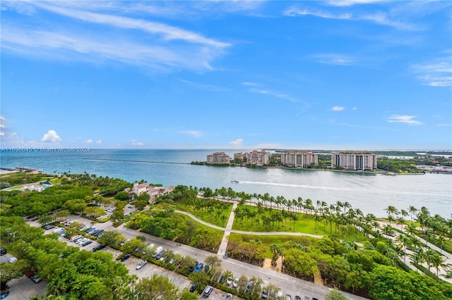 bird's eye view with a water view