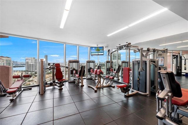 workout area featuring a wall of windows