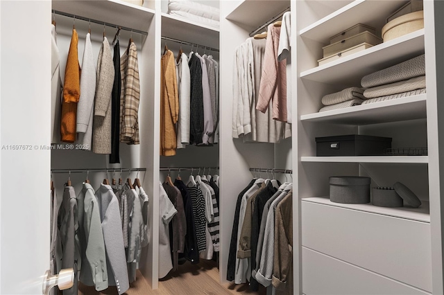 909 NE 16th Ter Unit 2, Fort Lauderdale, FL 33304 - spacious closet with wood finished floors