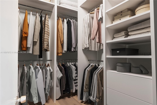 walk in closet with light wood-type flooring