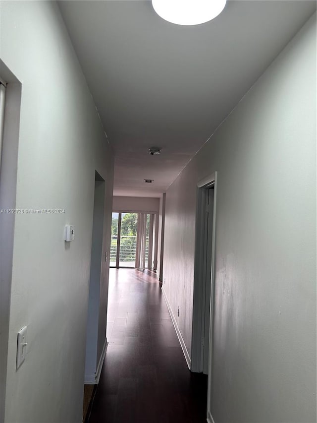 hallway with dark hardwood / wood-style floors