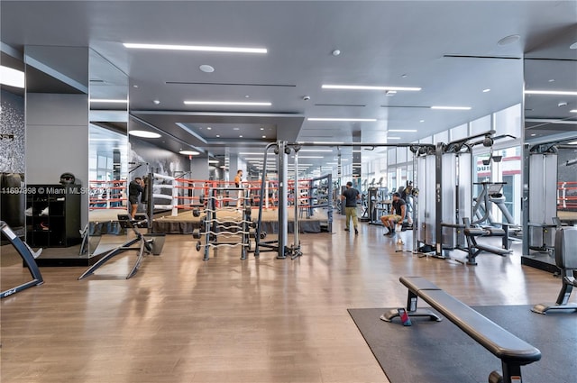 exercise room featuring a healthy amount of sunlight and wood-type flooring