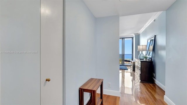 hallway featuring floor to ceiling windows and light hardwood / wood-style floors