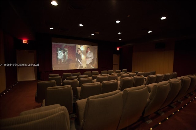 view of cinema room