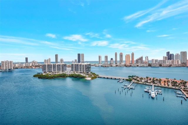 3201 NE 183rd St Unit 2607, Aventura, FL 33160 - water view with skyline