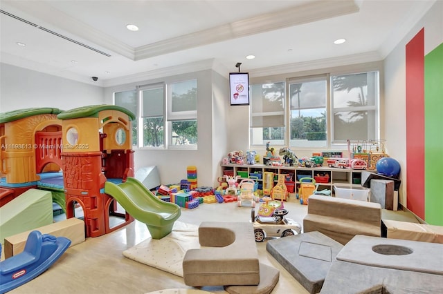 rec room featuring a raised ceiling and crown molding