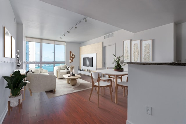 living room with wood-type flooring and rail lighting