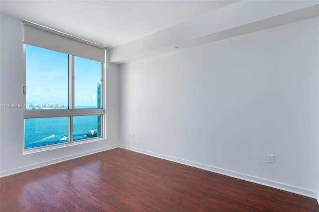 spare room featuring plenty of natural light and dark wood-type flooring