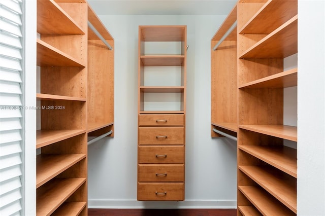 spacious closet with dark hardwood / wood-style flooring