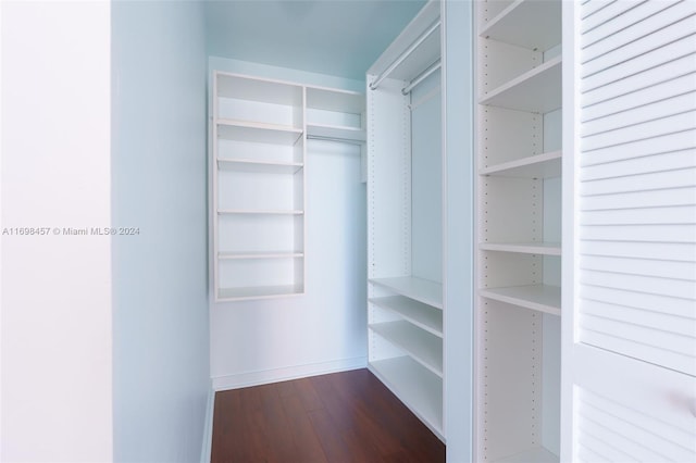 walk in closet with dark hardwood / wood-style floors