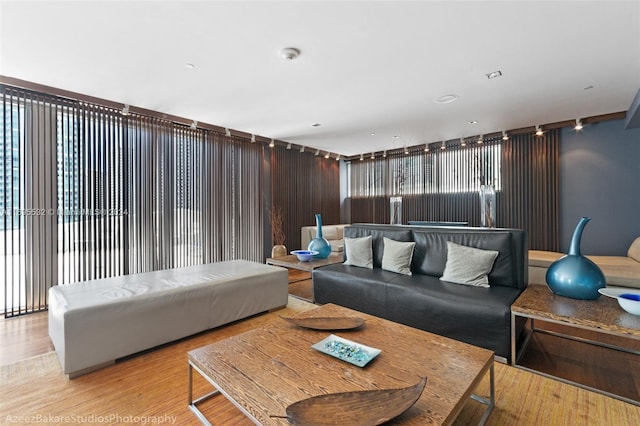 living room with light wood-type flooring