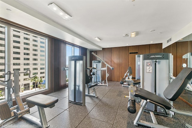 exercise room featuring a healthy amount of sunlight and wood walls