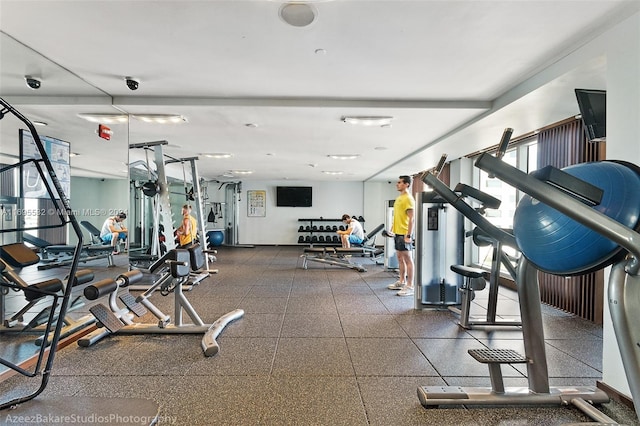 exercise room with a wealth of natural light