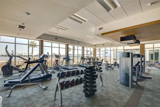 gym featuring carpet, expansive windows, and plenty of natural light