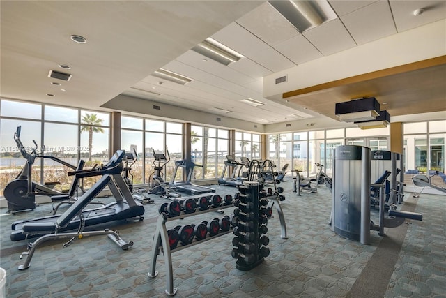 exercise room with carpet