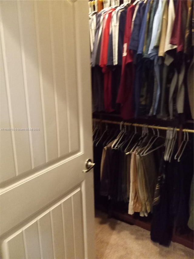 walk in closet featuring light colored carpet