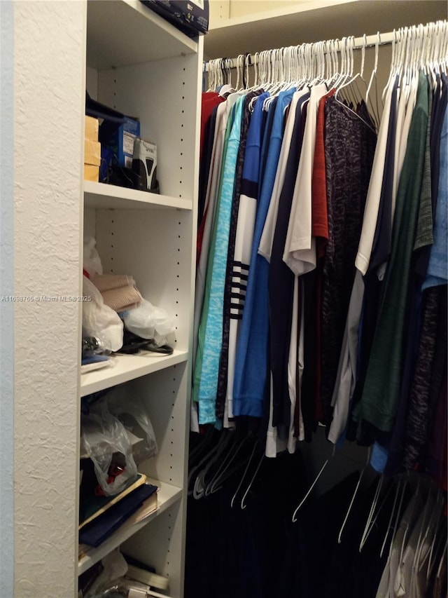 view of spacious closet