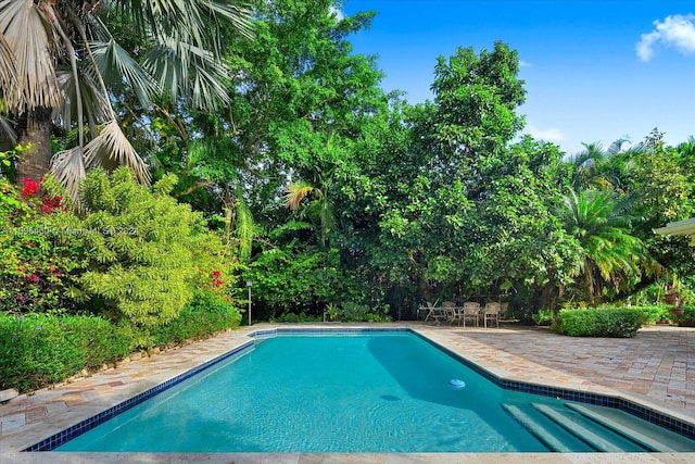 view of swimming pool with a patio area