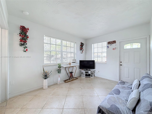 tiled living room featuring plenty of natural light