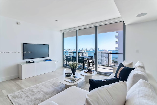 living room featuring expansive windows, plenty of natural light, baseboards, and wood finished floors