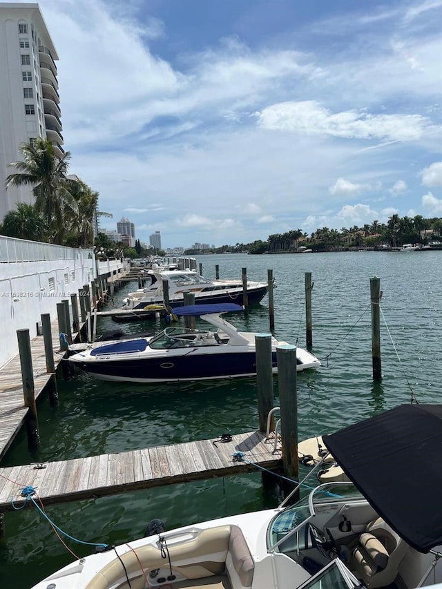 view of dock with a water view