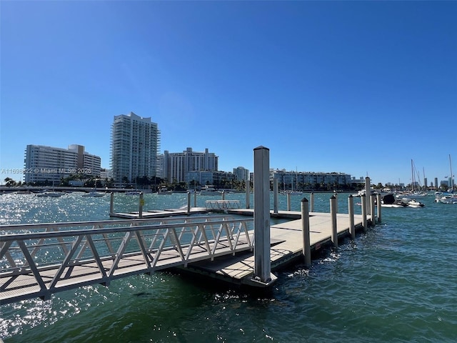 view of dock with a view of city and a water view