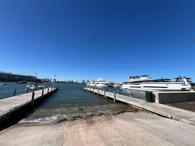 dock area with a water view