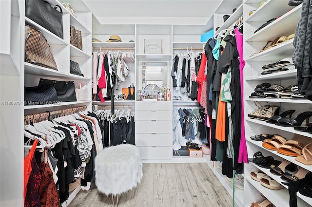 spacious closet with light hardwood / wood-style flooring