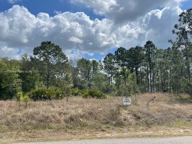 1218 Edward Ave, Lehigh Acres FL, 33972 land for sale