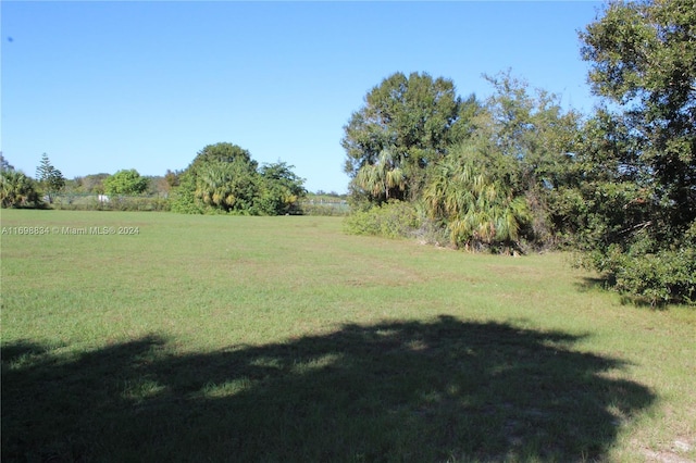 view of yard with a rural view