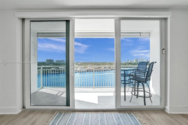 entryway featuring hardwood / wood-style floors and a water view