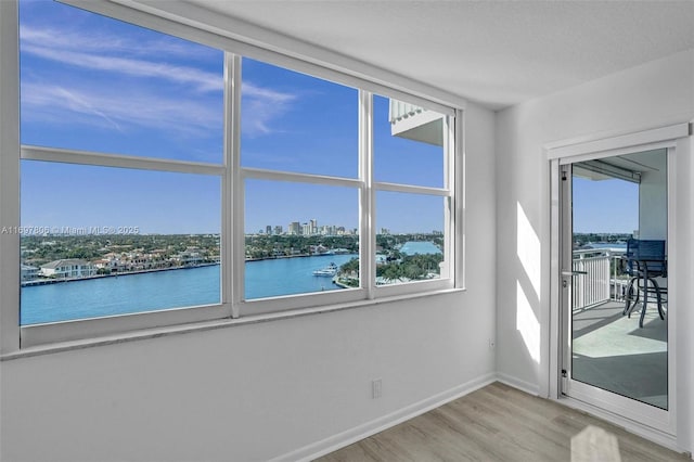 spare room with light hardwood / wood-style flooring and a water view