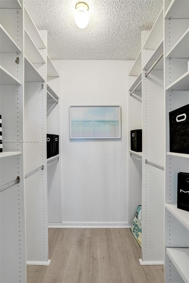 spacious closet featuring light hardwood / wood-style floors