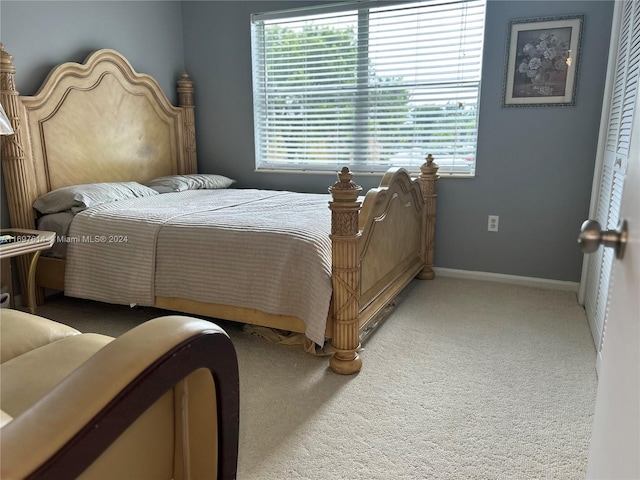 bedroom with a closet and carpet