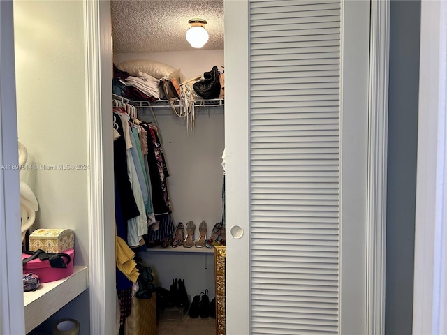 view of walk in closet